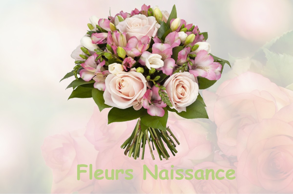 fleurs naissance AVILLERS-SAINTE-CROIX