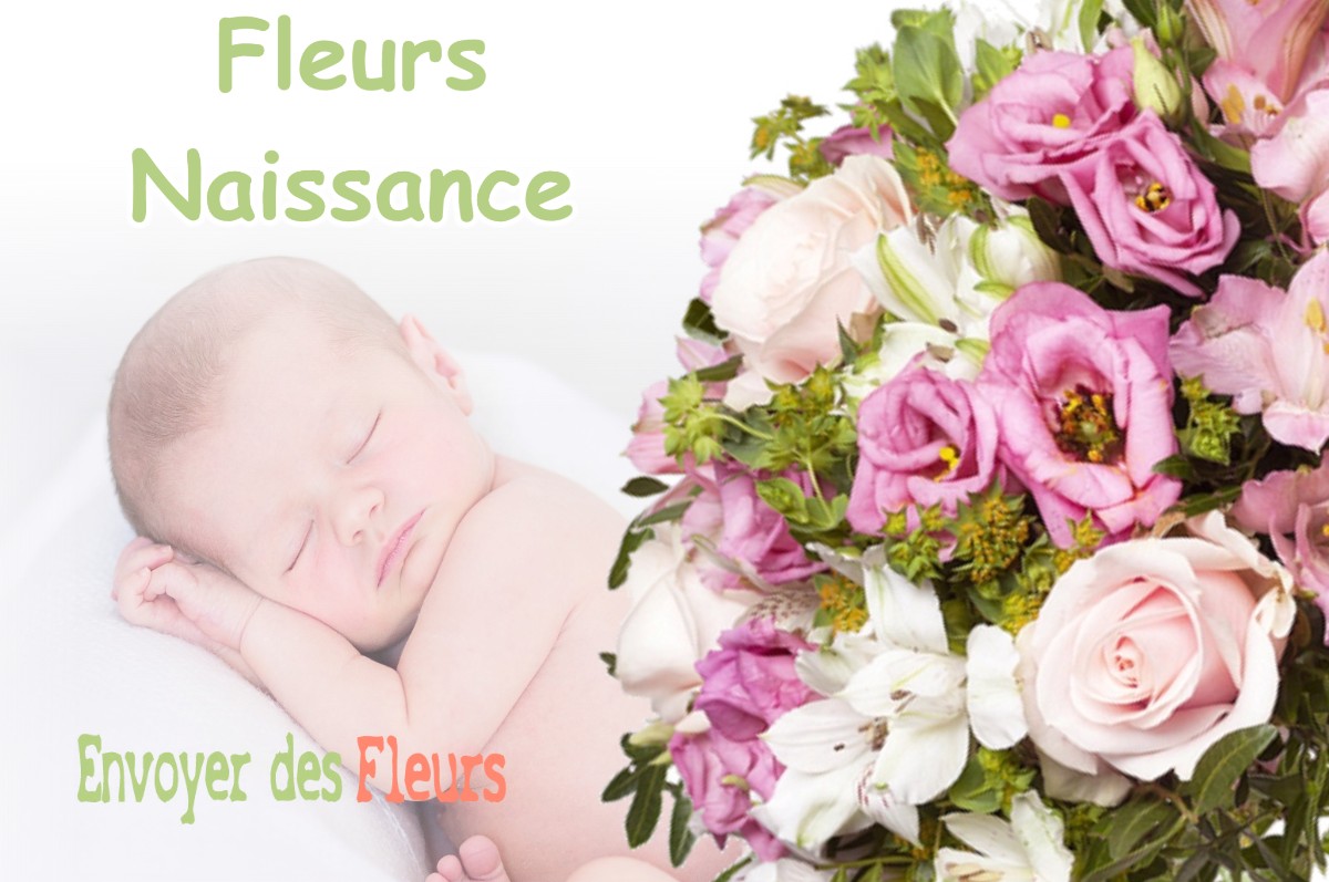 lIVRAISON FLEURS NAISSANCE à AVILLERS-SAINTE-CROIX